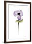 Purple Anemone I-Shirley Novak-Framed Art Print