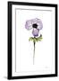 Purple Anemone I-Shirley Novak-Framed Art Print