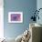 Purple Anemone II-Amy Melious-Art Print displayed on a wall