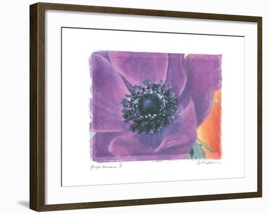 Purple Anemone II-Amy Melious-Framed Art Print