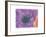 Purple Anemone II-Amy Melious-Framed Art Print