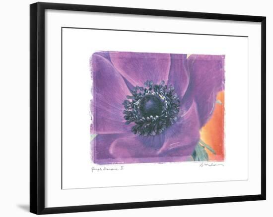 Purple Anemone II-Amy Melious-Framed Art Print