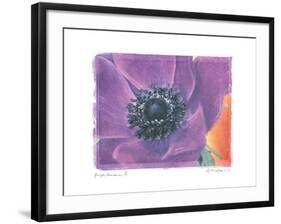 Purple Anemone II-Amy Melious-Framed Art Print