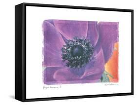 Purple Anemone II-Amy Melious-Framed Stretched Canvas