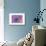 Purple Anemone II-Amy Melious-Stretched Canvas displayed on a wall