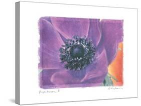 Purple Anemone II-Amy Melious-Stretched Canvas