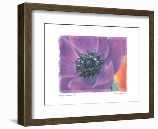 Purple Anemone II-Amy Melious-Framed Art Print