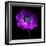 Purple Anemones Heart-Magda Indigo-Framed Photographic Print