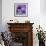 Purple Anemones on Blue-Tom Quartermaine-Framed Giclee Print displayed on a wall