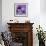 Purple Anemones on Blue-Tom Quartermaine-Framed Giclee Print displayed on a wall