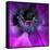 Purple Anemones-Magda Indigo-Framed Stretched Canvas