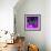 Purple Anemones-Magda Indigo-Framed Photographic Print displayed on a wall