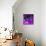 Purple Anemones-Magda Indigo-Mounted Photographic Print displayed on a wall