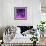 Purple Anemones-Magda Indigo-Framed Photographic Print displayed on a wall