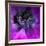 Purple Anemones-Magda Indigo-Framed Photographic Print