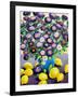 Purple Asters and Lemons-Christopher Ryland-Framed Giclee Print