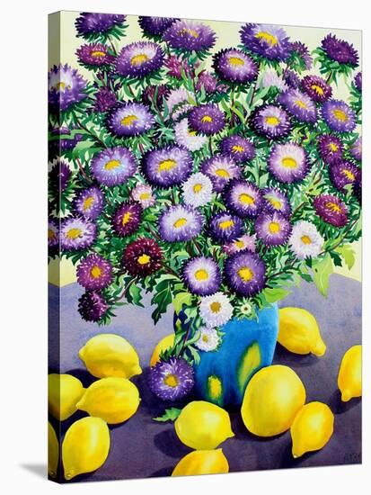 Purple Asters and Lemons-Christopher Ryland-Stretched Canvas