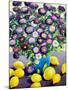 Purple Asters and Lemons-Christopher Ryland-Mounted Giclee Print