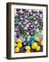 Purple Asters and Lemons-Christopher Ryland-Framed Giclee Print