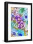 Purple Asters-Ania Zwara-Framed Photographic Print