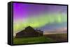 Purple Aurora over an Old Barn in Southern Alberta, Canada-Stocktrek Images-Framed Stretched Canvas