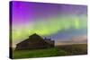 Purple Aurora over an Old Barn in Southern Alberta, Canada-Stocktrek Images-Stretched Canvas