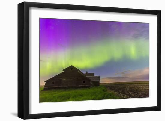 Purple Aurora over an Old Barn in Southern Alberta, Canada-Stocktrek Images-Framed Photographic Print