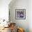 Purple Balcony-Allayn Stevens-Framed Art Print displayed on a wall