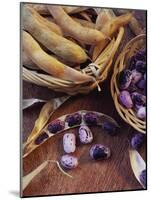 Purple Beans and Pods in Small Baskets-Vladimir Shulevsky-Mounted Photographic Print