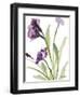 Purple Belles I-Lanie Loreth-Framed Art Print