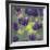 Purple Berries-Ken Bremer-Framed Giclee Print
