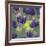 Purple Berries-Ken Bremer-Framed Giclee Print