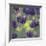 Purple Berries-Ken Bremer-Framed Giclee Print