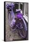 Purple bicycle on street, Limburg an der Lahn, Hesse, Germany-null-Framed Stretched Canvas