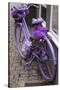 Purple bicycle on street, Limburg an der Lahn, Hesse, Germany-null-Stretched Canvas