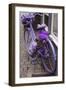 Purple bicycle on street, Limburg an der Lahn, Hesse, Germany-null-Framed Photographic Print