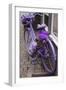 Purple bicycle on street, Limburg an der Lahn, Hesse, Germany-null-Framed Photographic Print