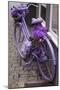 Purple bicycle on street, Limburg an der Lahn, Hesse, Germany-null-Mounted Photographic Print