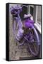 Purple bicycle on street, Limburg an der Lahn, Hesse, Germany-null-Framed Stretched Canvas