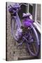 Purple bicycle on street, Limburg an der Lahn, Hesse, Germany-null-Stretched Canvas