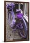 Purple bicycle on street, Limburg an der Lahn, Hesse, Germany-null-Framed Photographic Print