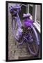 Purple bicycle on street, Limburg an der Lahn, Hesse, Germany-null-Framed Photographic Print