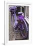 Purple bicycle on street, Limburg an der Lahn, Hesse, Germany-null-Framed Photographic Print