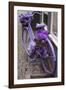 Purple bicycle on street, Limburg an der Lahn, Hesse, Germany-null-Framed Photographic Print