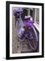 Purple bicycle on street, Limburg an der Lahn, Hesse, Germany-null-Framed Photographic Print