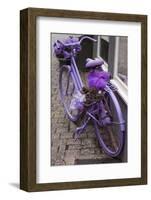 Purple bicycle on street, Limburg an der Lahn, Hesse, Germany-null-Framed Photographic Print