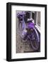 Purple bicycle on street, Limburg an der Lahn, Hesse, Germany-null-Framed Photographic Print