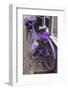 Purple bicycle on street, Limburg an der Lahn, Hesse, Germany-null-Framed Photographic Print