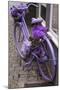 Purple bicycle on street, Limburg an der Lahn, Hesse, Germany-null-Mounted Photographic Print