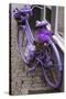 Purple bicycle on street, Limburg an der Lahn, Hesse, Germany-null-Stretched Canvas